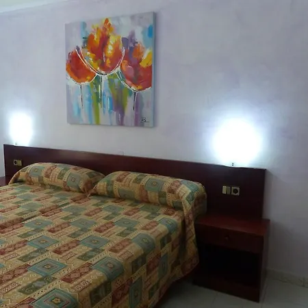 Hotel Vall D'aneu 2*