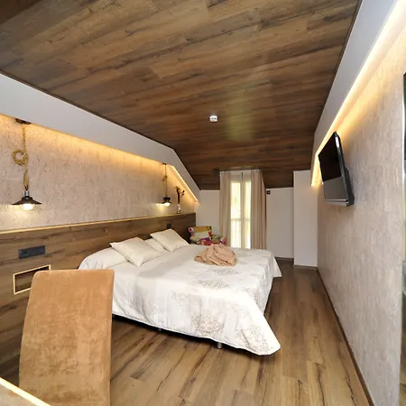 Hotel Vall D'aneu 2*