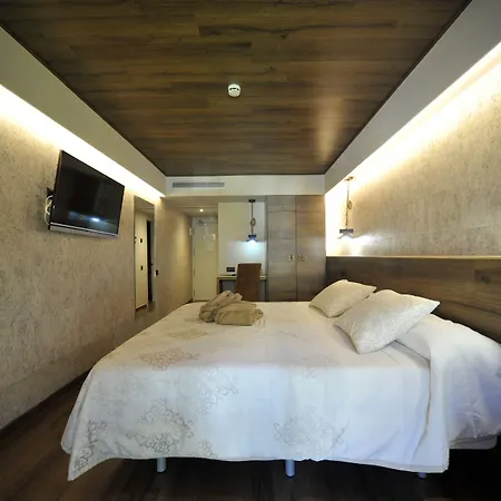 Y Vall D Aneu Hotel